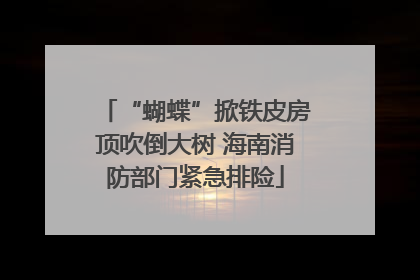 “蝴蝶”掀铁皮房顶吹倒大树 海南消防部门紧急排险